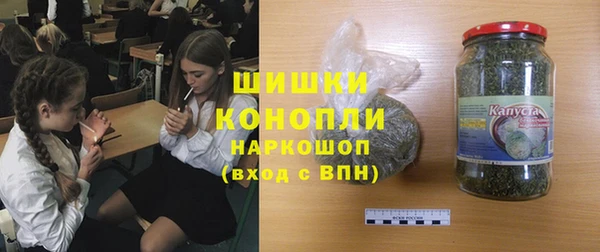 сатива Заводоуковск