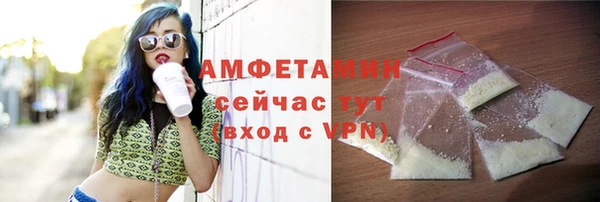 сатива Заводоуковск
