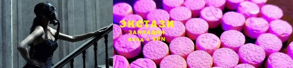сатива Заводоуковск