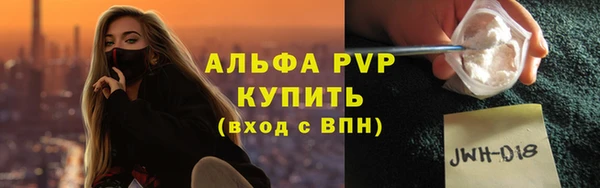 сатива Заводоуковск
