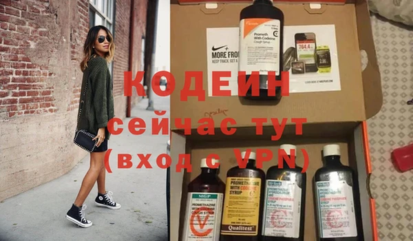 сатива Заводоуковск