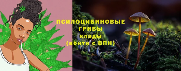 СК Заволжье